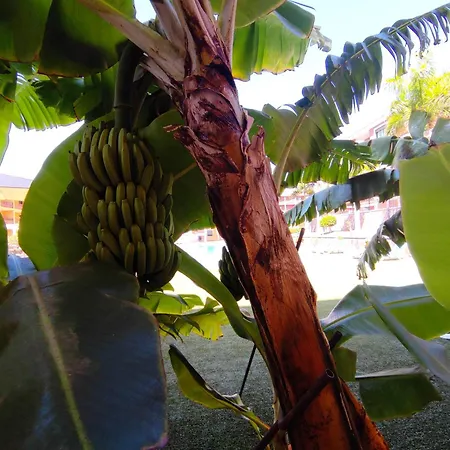 Casa Ludovica: Comfort Y Relax Apartment Palm-mar