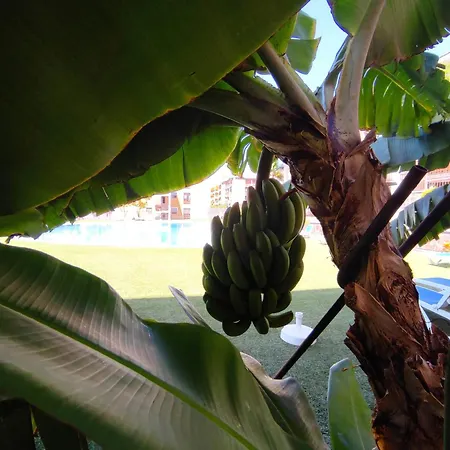 Casa Ludovica: Comfort Y Relax Apartamento *